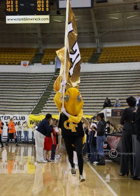 Buzz leads the Yellow Jackets onto the floor