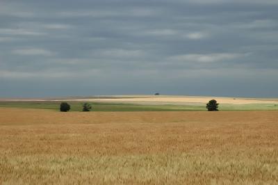 g4/17/614617/3/52404343.notcritterskansasfield.jpg