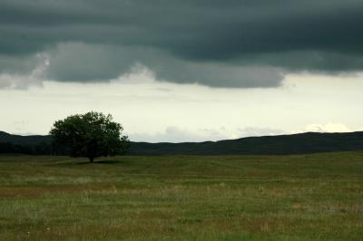 Sandhill storm