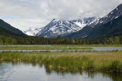 Wetlands