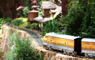 Train at Bellagio Conservatory