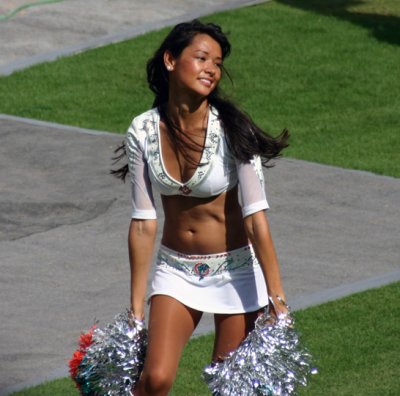 Dolphins Cheerleader