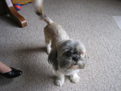 Coco