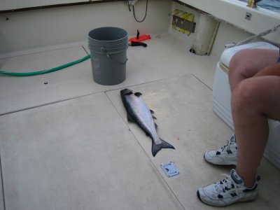 IMG_6996.JPG