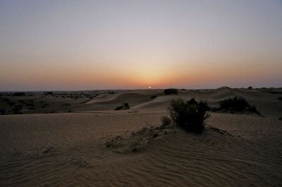 Desert Safari 0032.jpg