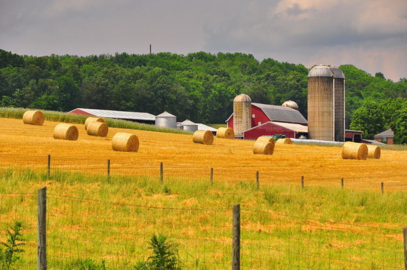 Shenandoah Valley Virginia