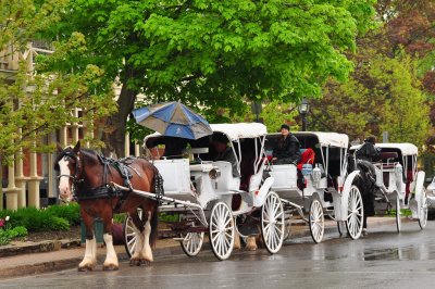 Niagra On The Lake 3.JPG