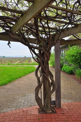 Inskeller Winery 8.JPG