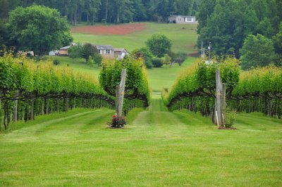 Horton Winery 1.JPG