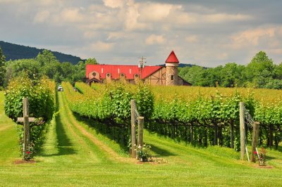 Horton Winery 4.JPG