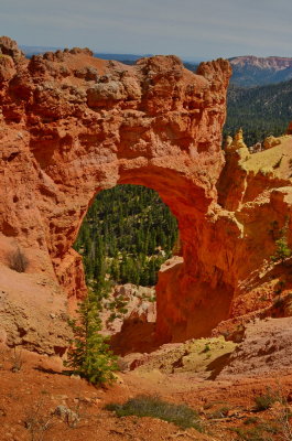 Bryce Canyon NP_28.JPG