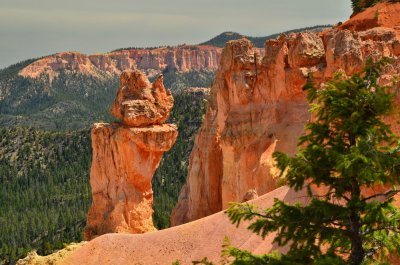 Bryce Canyon NP_29.JPG