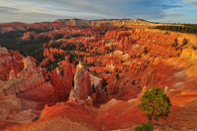 Bryce Canyon Sunrise_02.JPG