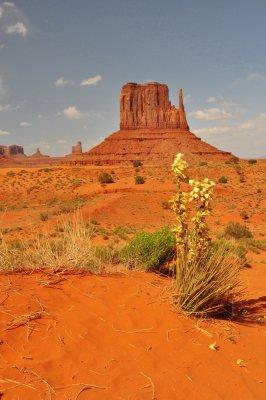 Monument Valley_48.JPG