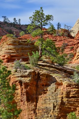 Zion NP_03.JPG