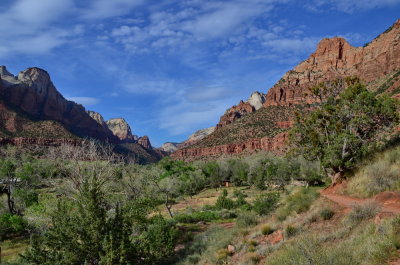 Zion NP_07.JPG