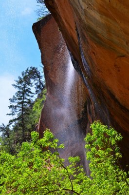 Zion NP_26.JPG