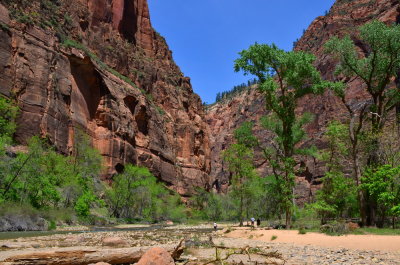 Zion NP_33.JPG