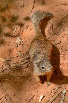 Zion NP_38.JPG