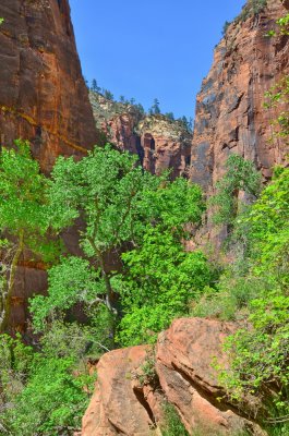Zion NP_39.JPG