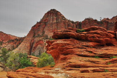 Zion NP_48.JPG