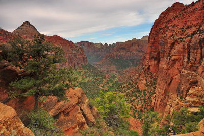 Zion NP_51.JPG