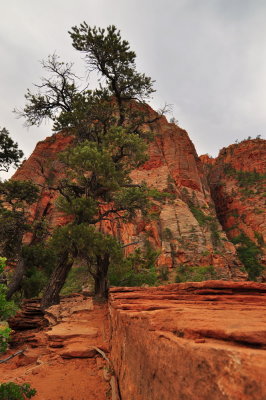 Zion NP_55.JPG