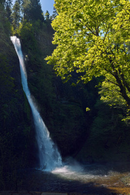 Horsetail Falls 1  24x36