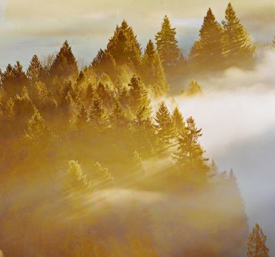 Jonsrud Point Sunrise crop from 20x30