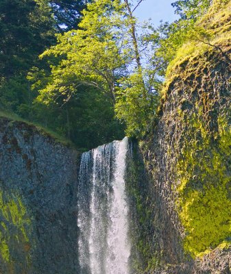 Latourell Falls 24x48 crop