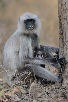 Mother & Child