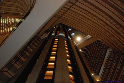 DSC_8931.JPG