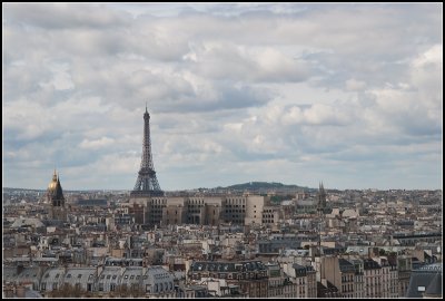 View from the Tower VI