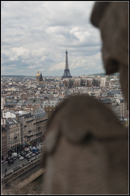 View from the Tower VII