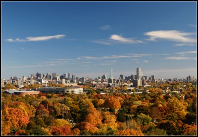 Boston in Autumn from Mt. Auburn