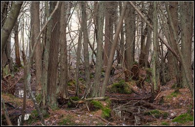 Massachusetts