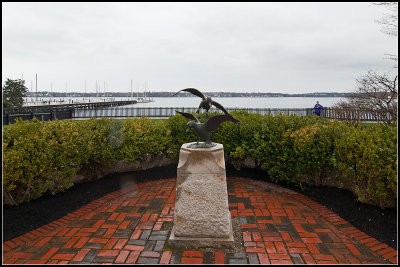 Ducks and Harbor
