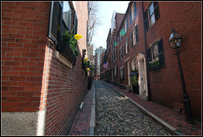 Acorn Street I