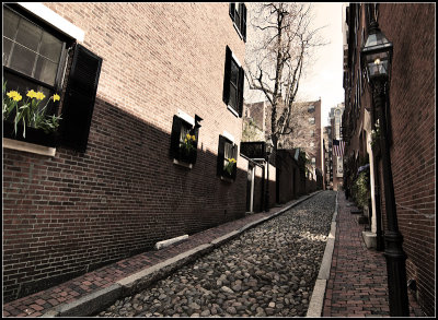 Acorn Street II