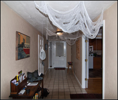 Cobwebs I