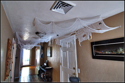 Cobwebs II