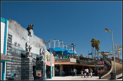 Haunted Palm Trees?