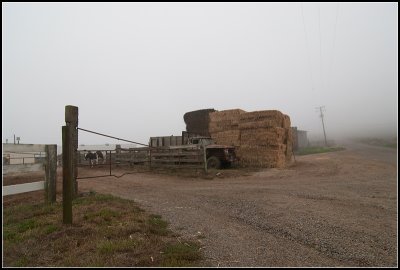 Farm in the Fog I