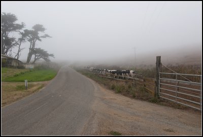 Farm in the Fog II