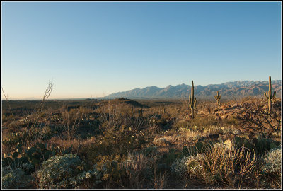 Desertscape II