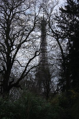 Nature Eiffel