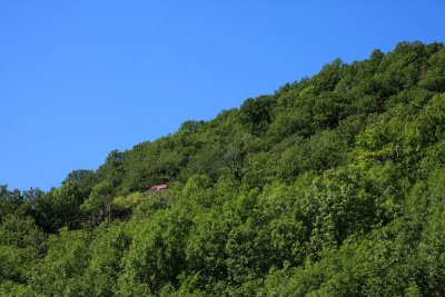 Dans la jungle ardchoise