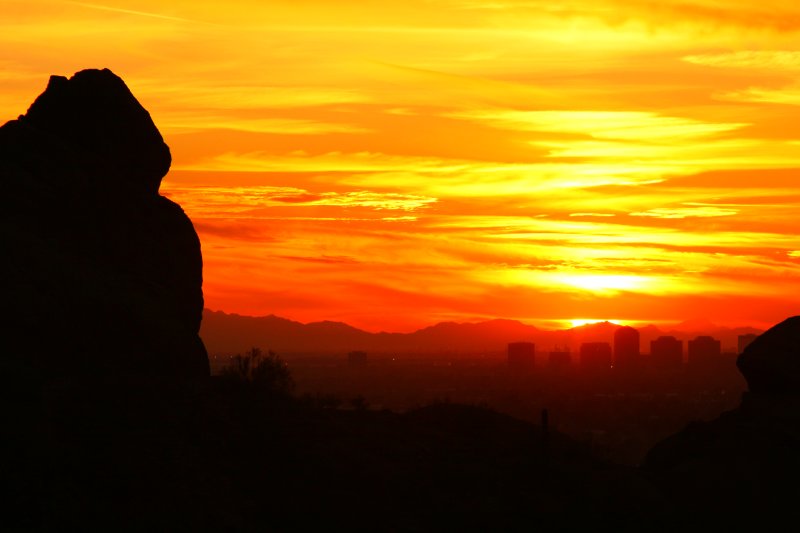 Phoenix