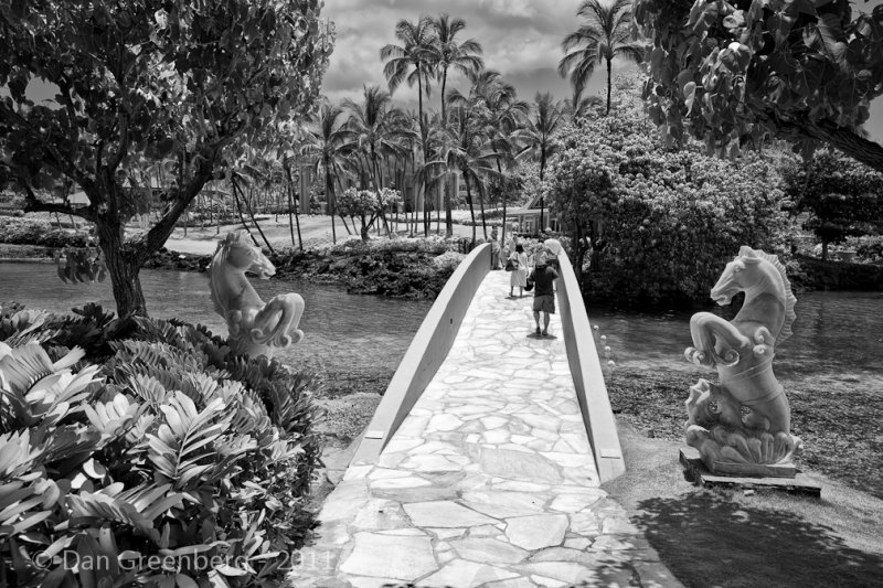 Bridge to a Palm Covered Paradise