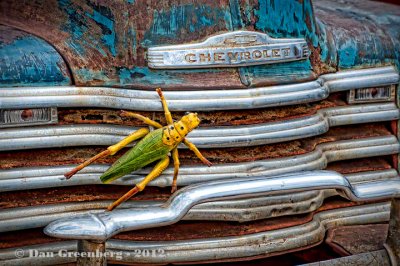 Grasshopper on Chevy Truck